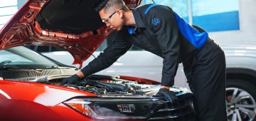 Dignifi | Volkswagen SouthTowne in South Jordan UT